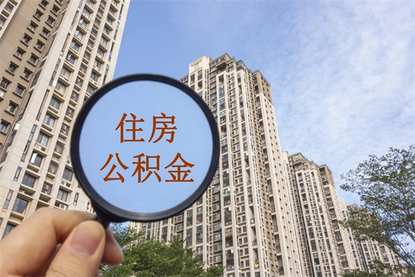 正规个人社保代缴公司-固安公积金服务平台